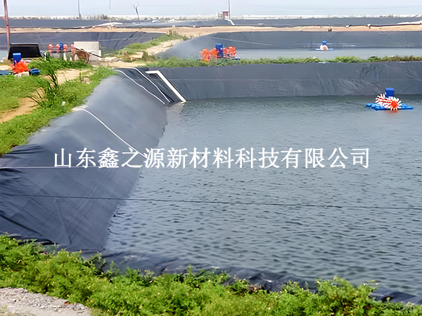 魚塘防滲膜存放技巧：輕松保鮮，以備不時之需